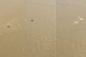 प्रतापगढ़ सई नदी में युवक का शव मिला, पुलिस जांच में जुटी