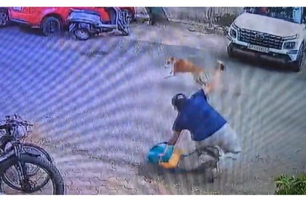 Noida Sector-34 stray dog attack at B-12 Dhawal Giri Apartment